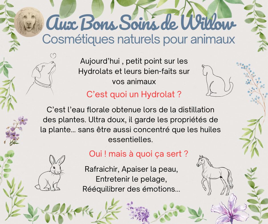 Les hydrolats et leurs bienfaits