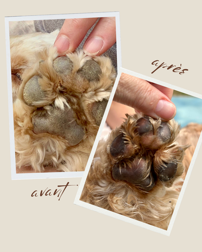 Truffes & Coussinets